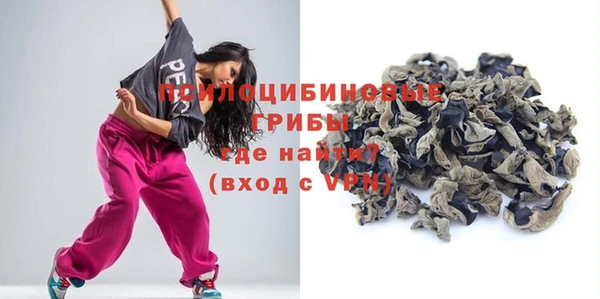 ECSTASY Краснослободск