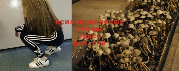ECSTASY Краснослободск