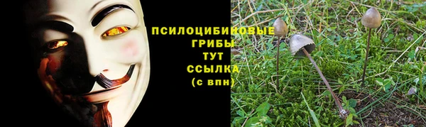 метадон Краснотурьинск